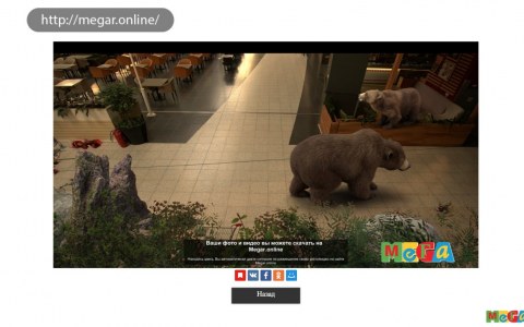 Image Not Found On Media Library