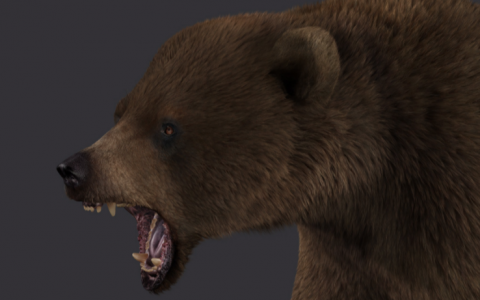 Image Not Found On Media Library